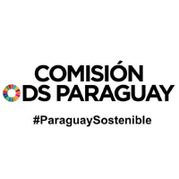 Comision ODS Paraguay